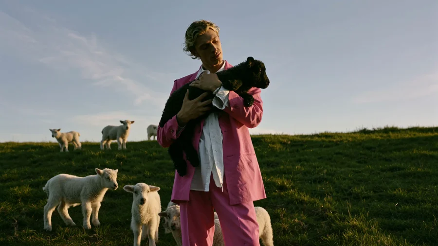 Lip-Synced Redub — Editing an Existing Clip · 입력 영상 · video1 source clip pink suit lamb
