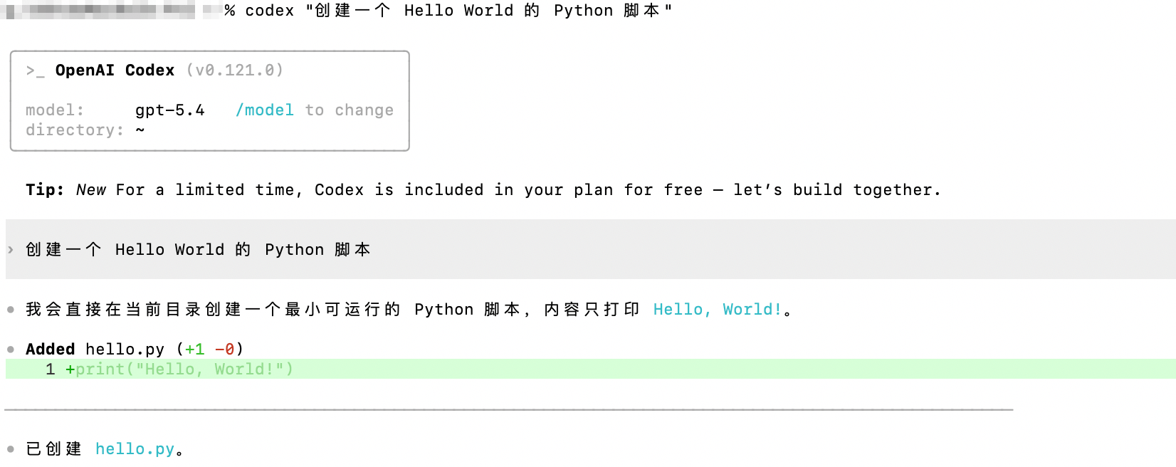 Codex CLI running