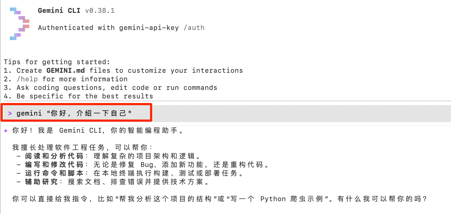 Verify Gemini CLI