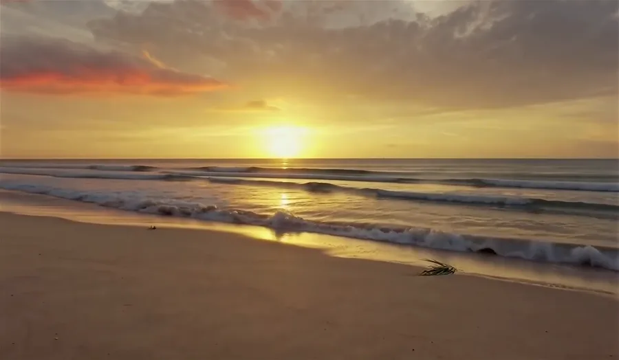 Add Element — A Reef on the Beach · Input video · 编辑前视频